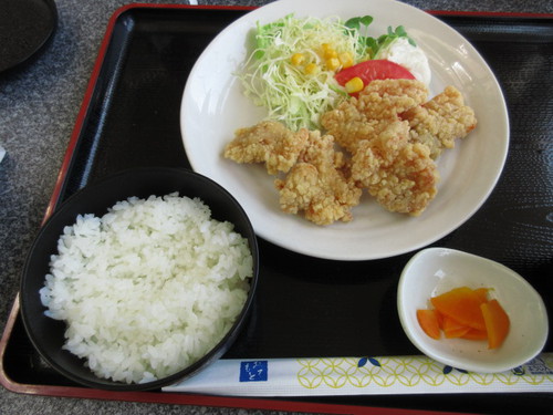 大阪市立自然史博物館　フォーレスト　ランチ