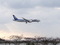 那覇空港の風景１９　Ｂ７８７