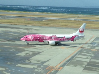 那覇空港の風景７　ピンクジンベイ