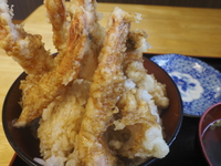エビだけ天丼 2016/05/21 20:19:13