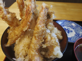 エビだけ天丼