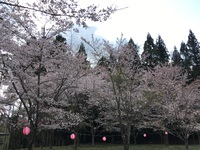 宮崎神社 2018春花祭