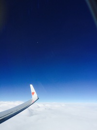 夢