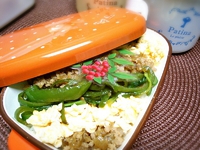 簡単お弁当