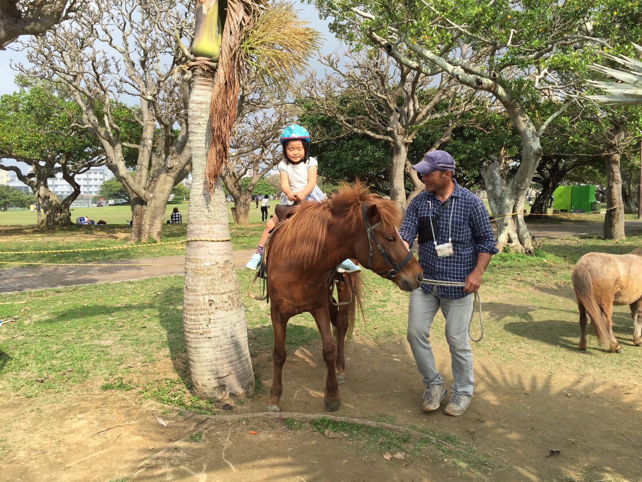 3月19日～20日ふれあい体験乗馬会