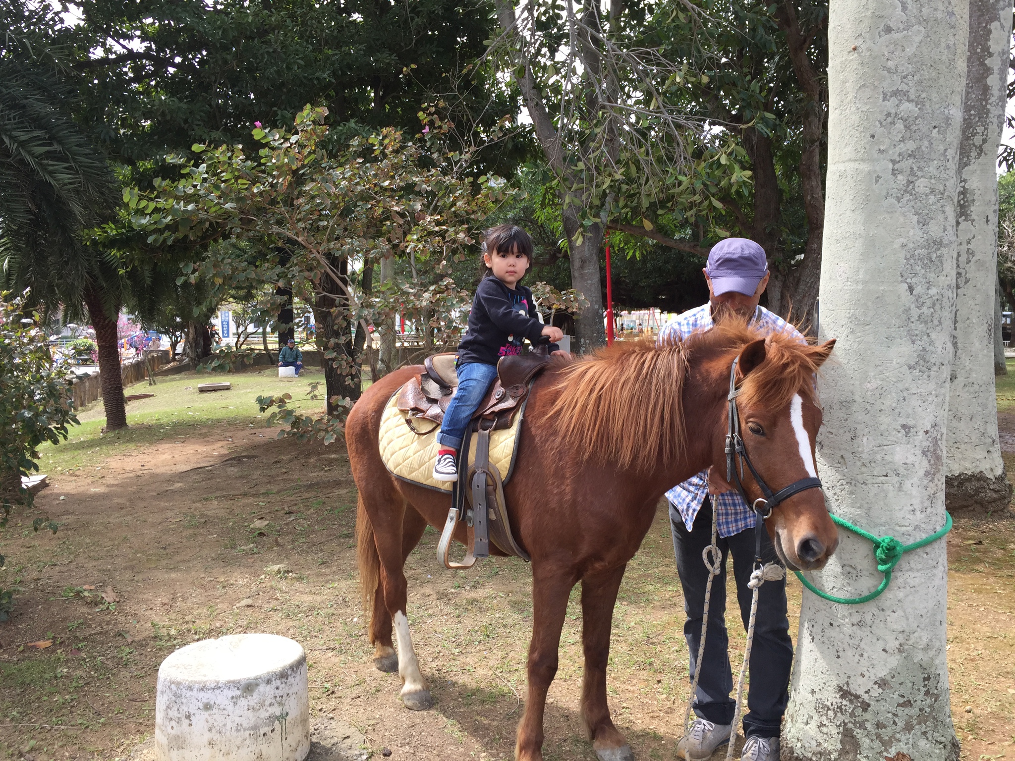 2月21日　与儀公園ふれあい乗馬