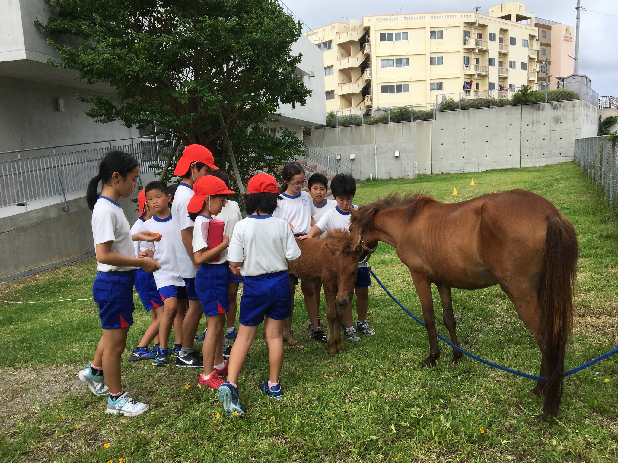 「逞しさと優しさ」