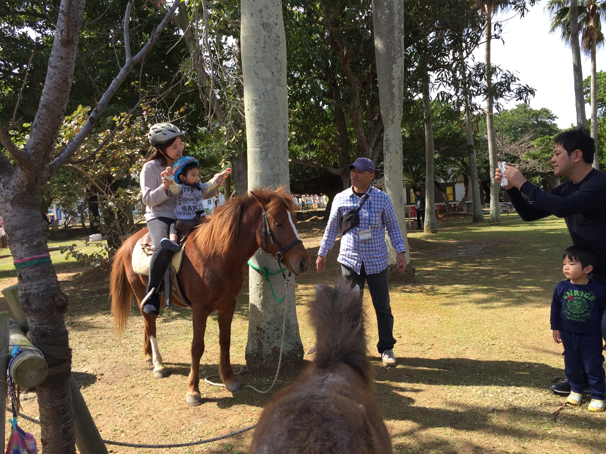 2月21日　与儀公園ふれあい乗馬