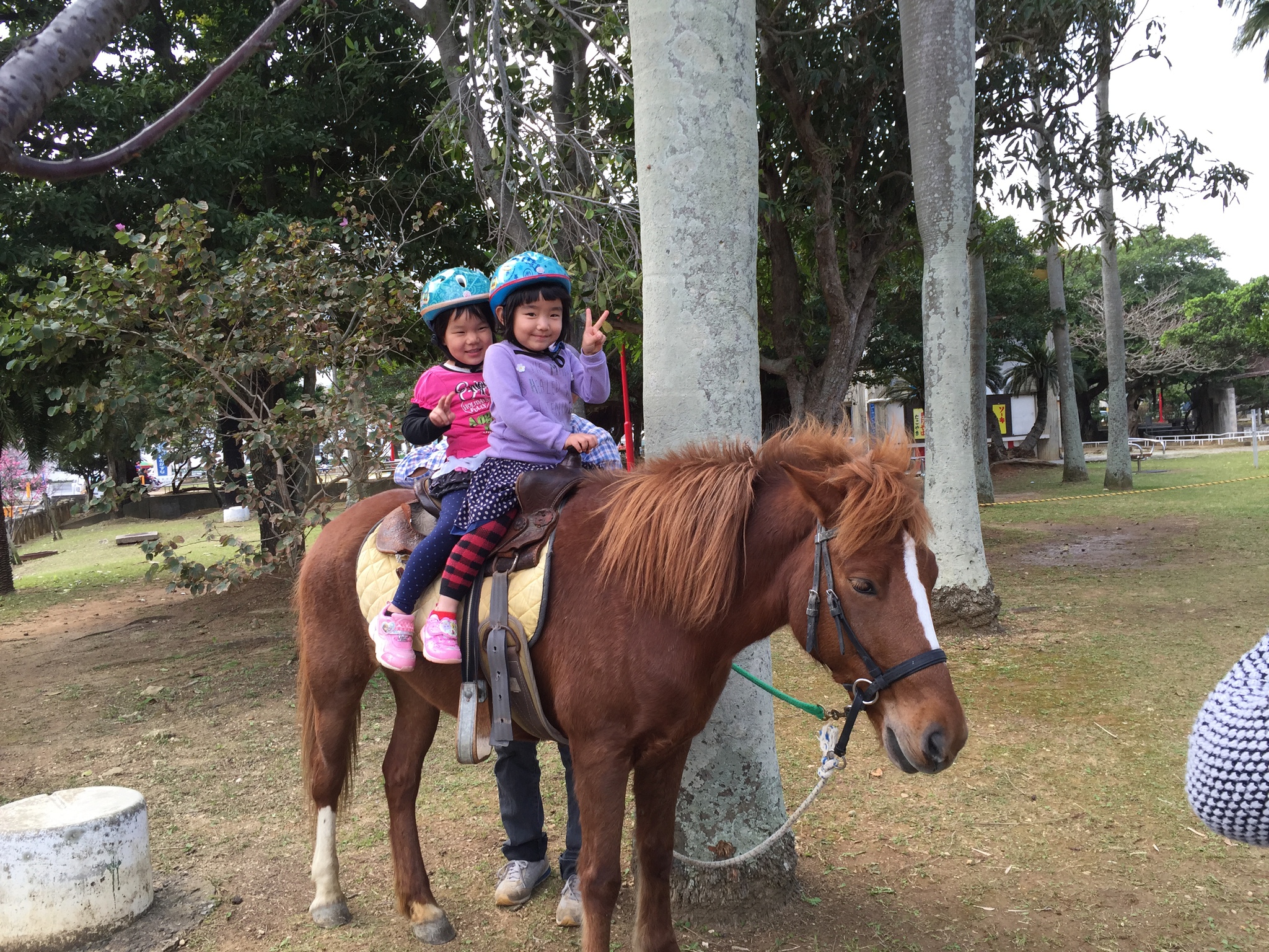 2月21日　与儀公園ふれあい乗馬