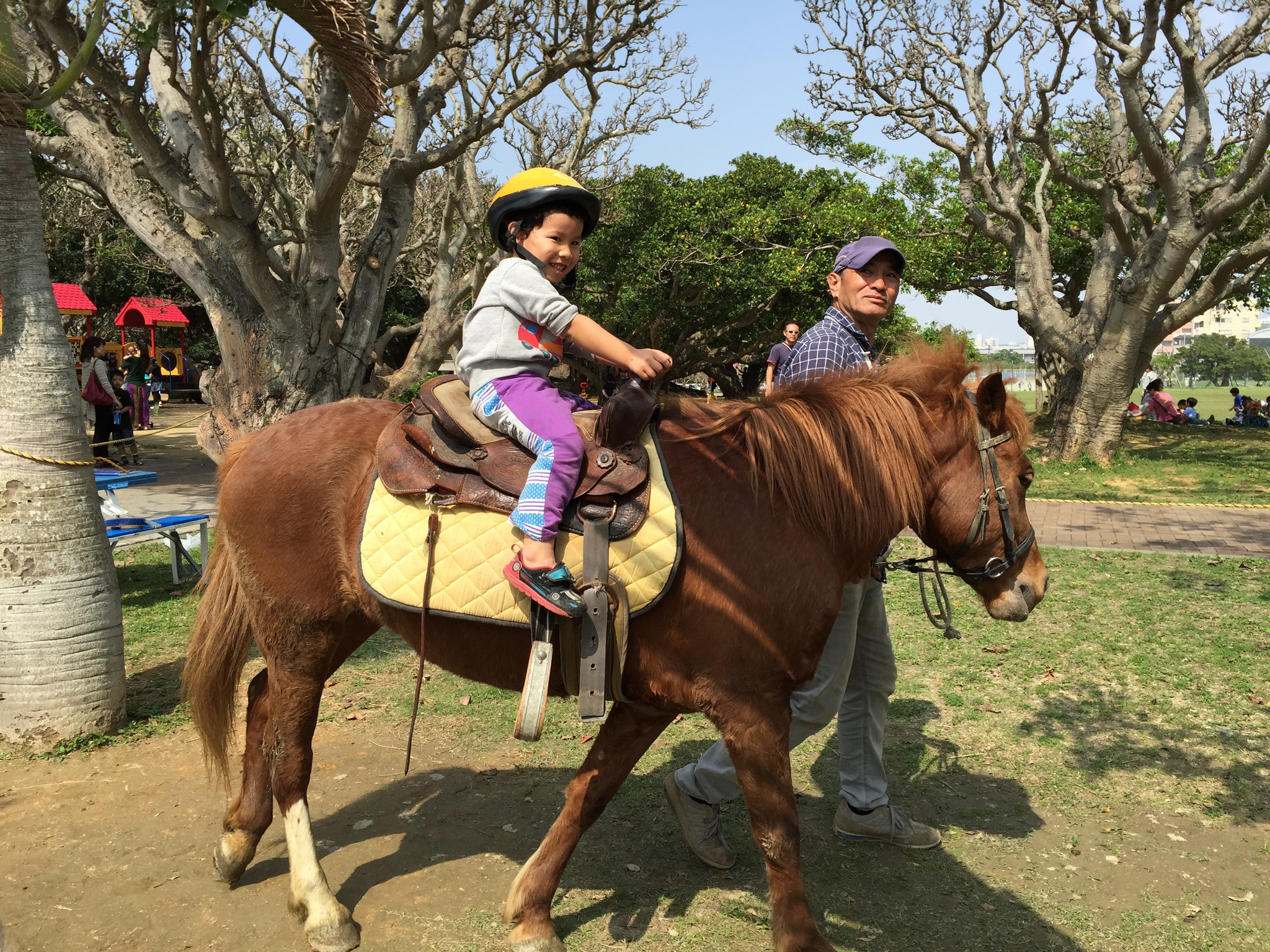 3月19日～20日ふれあい体験乗馬会