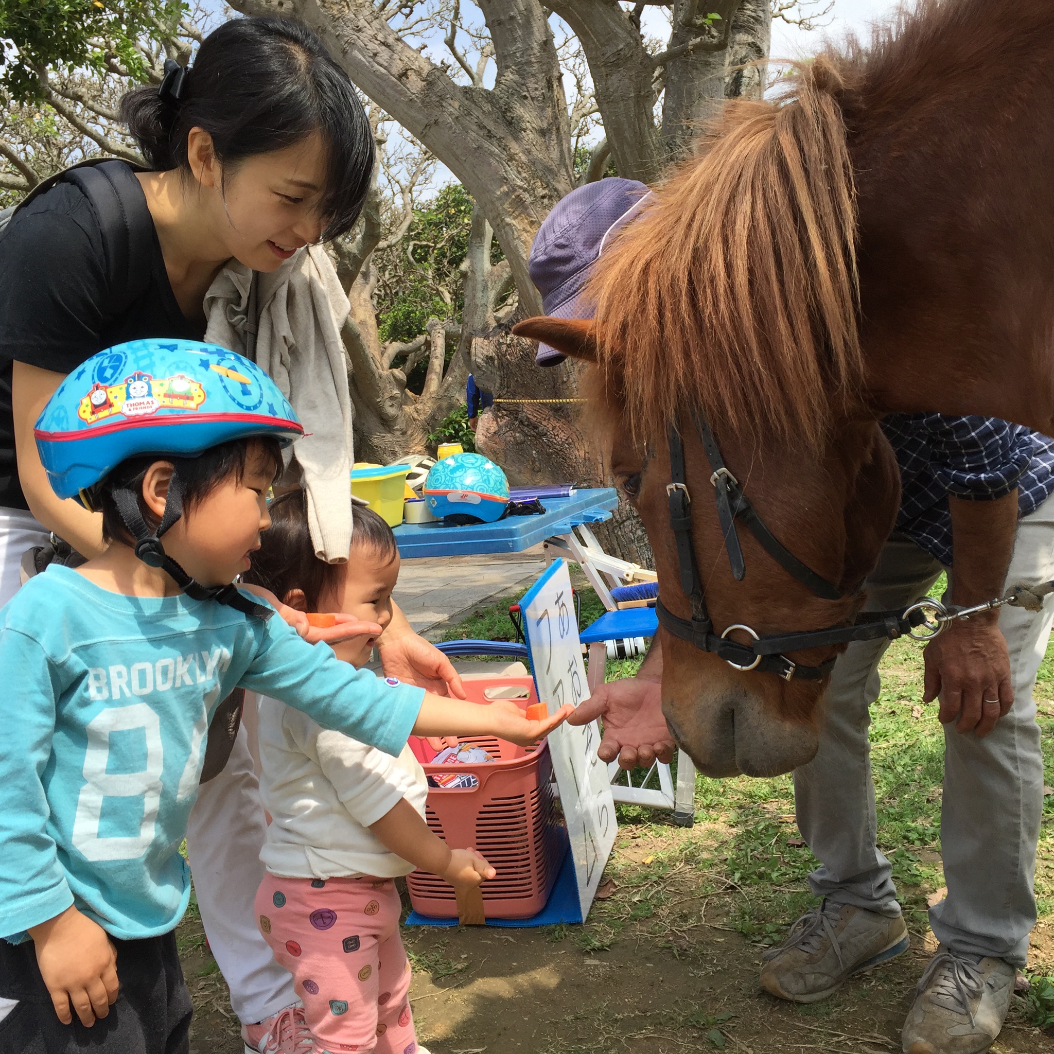 3月19日～20日ふれあい体験乗馬会