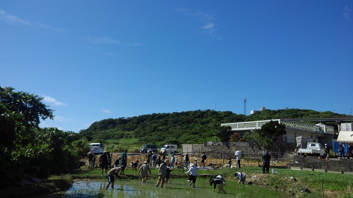 ｢田植え体験行ってきました!｣