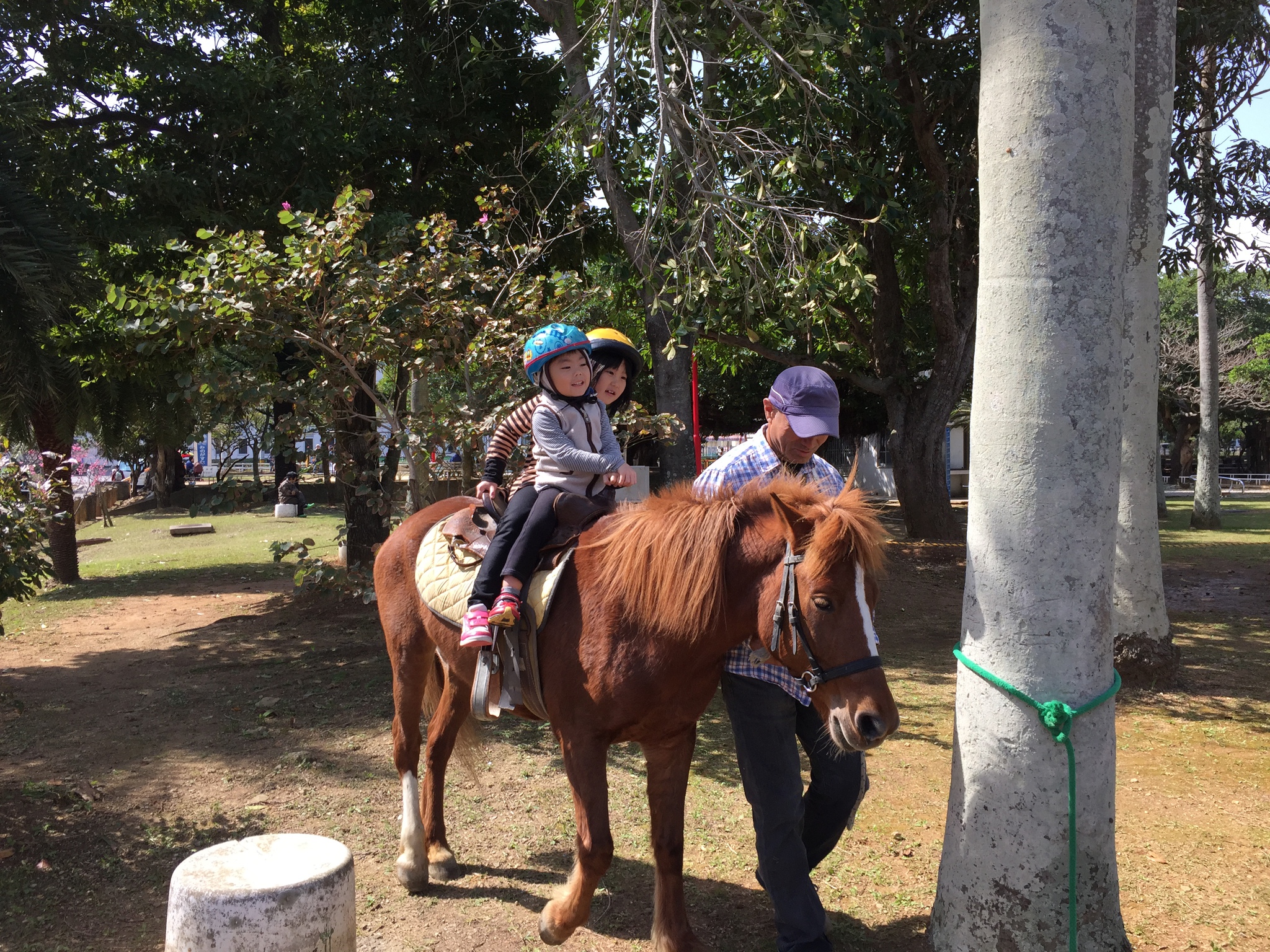 2月21日　与儀公園ふれあい乗馬