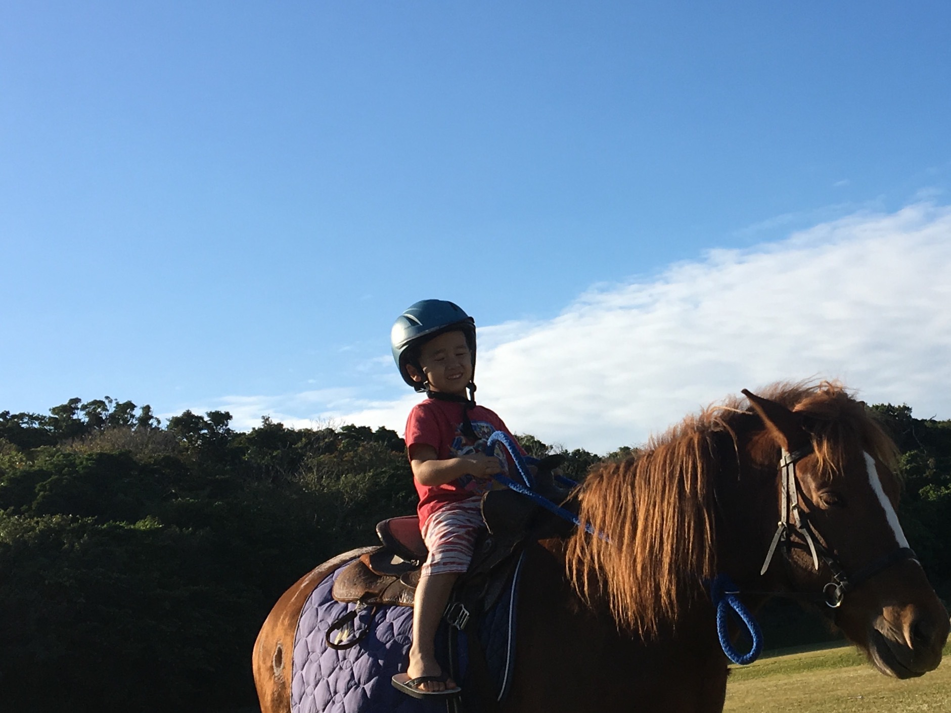 「ヨナグニウマ馬車元年に！」