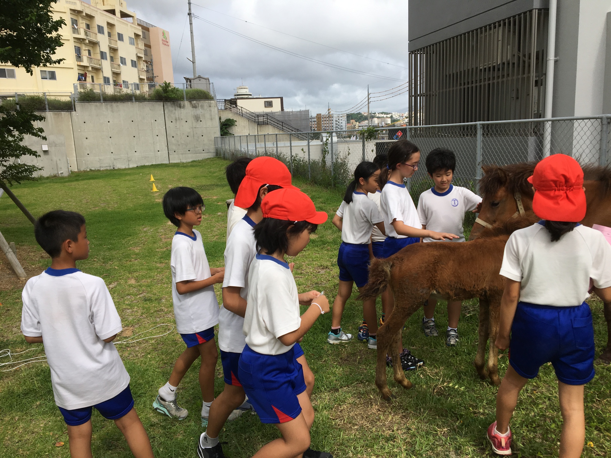 「逞しさと優しさ」