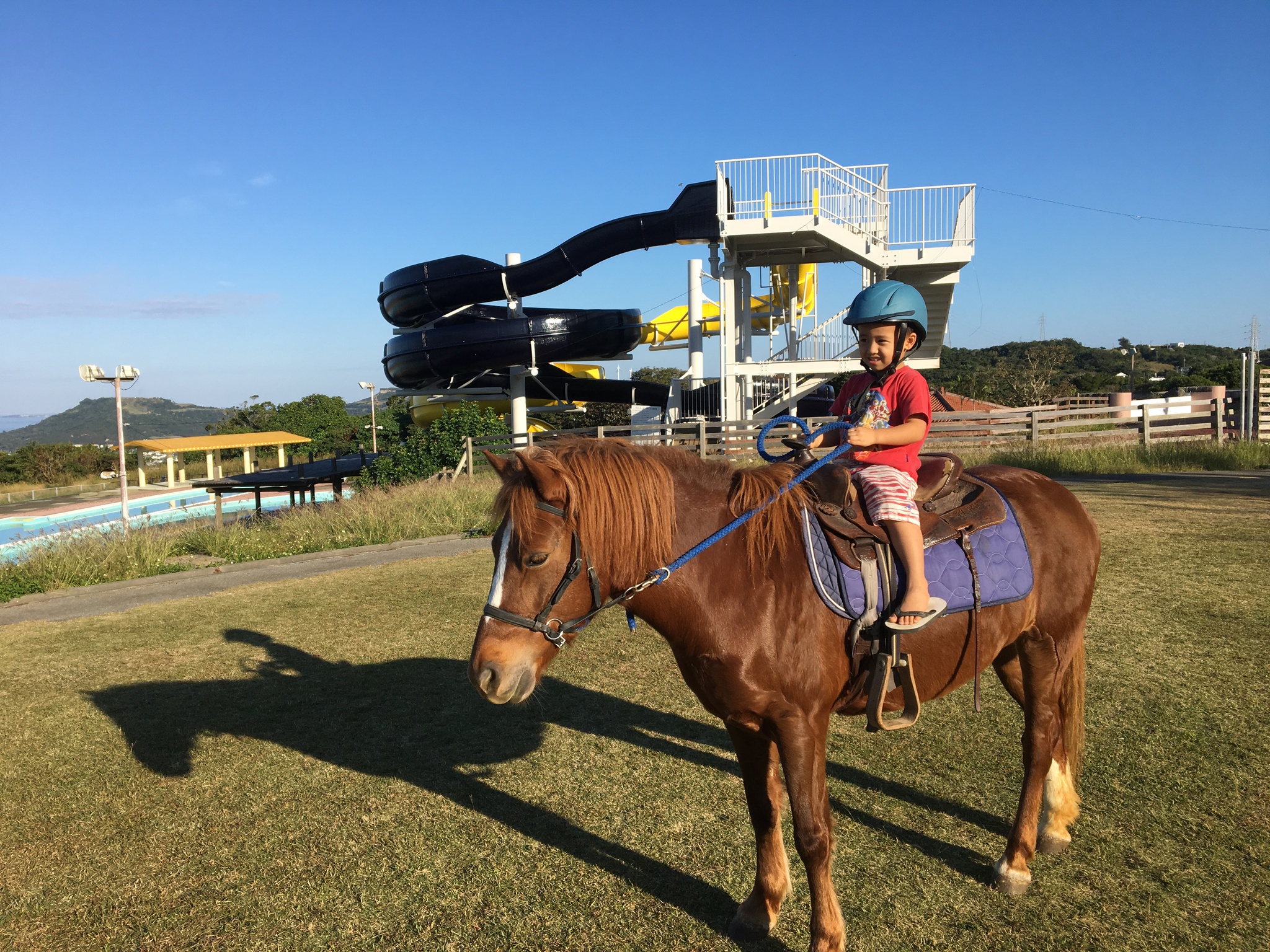 「ヨナグニウマ馬車元年に！」