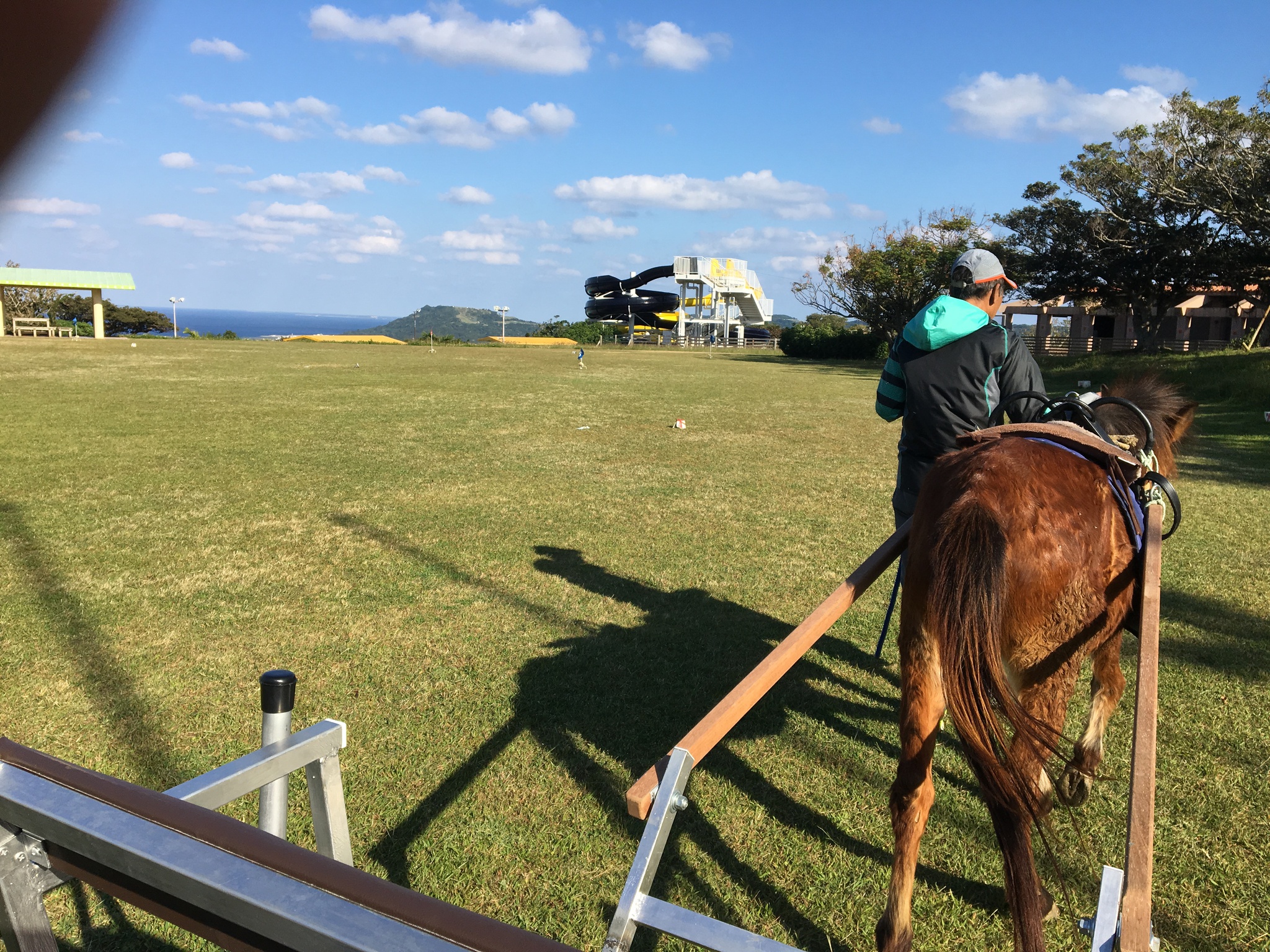 「ヨナグニウマ馬車元年に！」