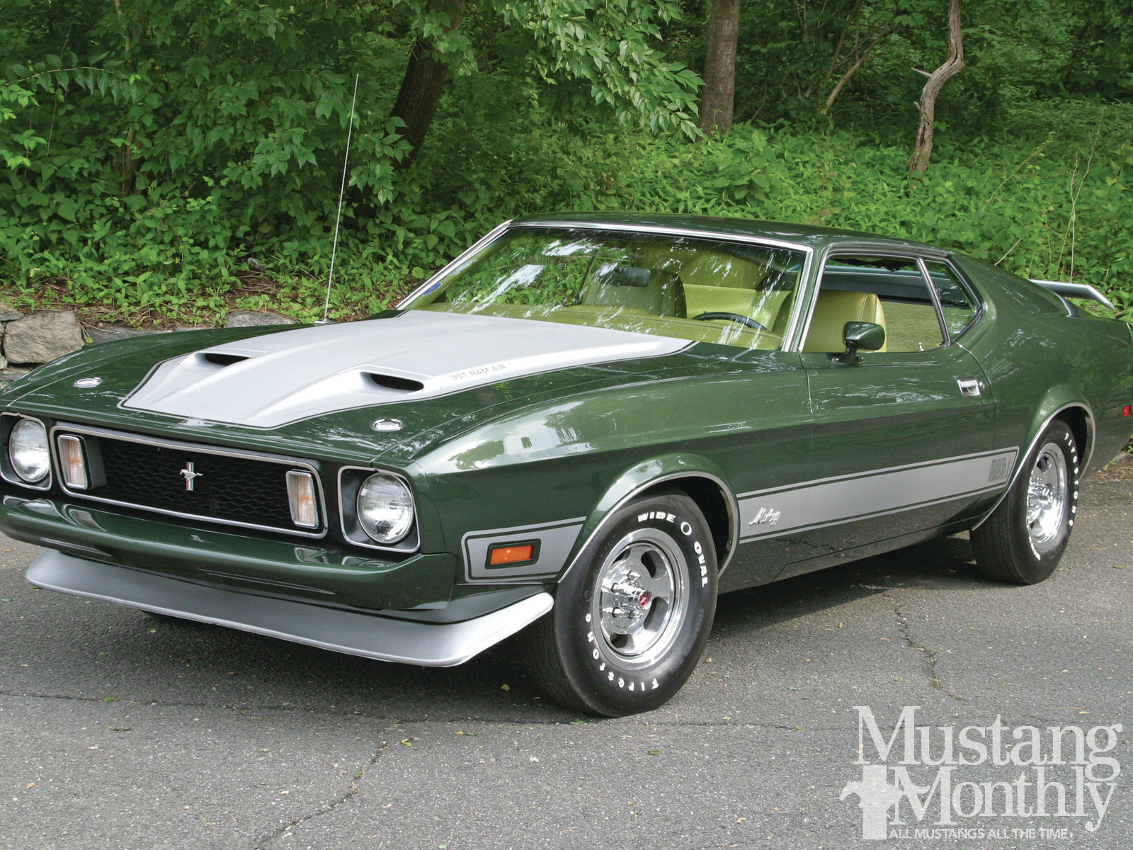 なんちゃってRodder奮闘記:Ford Mustang(マスタング) なんちゃってRodder奮闘記:Ford Mustang(マスタング)