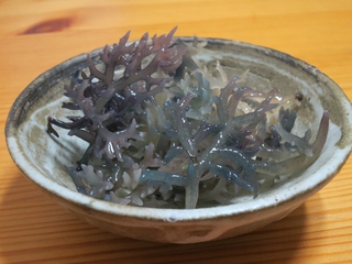 サンゴノリ