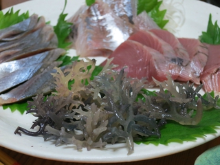 サンゴノリ