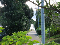 石垣島を抜け出し鳩間島へ 2015/11/17 16:14:00