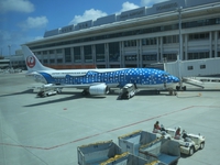 那覇空港で飛行機見学