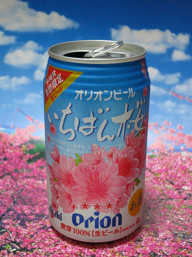 緋寒桜でお花見（気分）