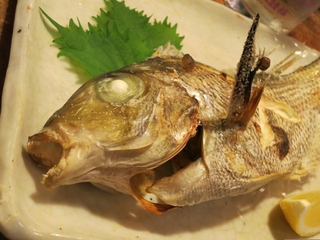 旨い魚が食べたい！