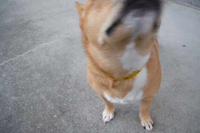 メリー！
