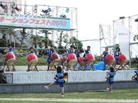 イルミネーションフェスト２０１２ 2012/12/25 15:19:00