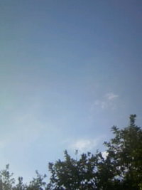晴れ晴れ 2007/10/23 08:17:17