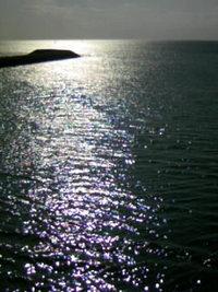 海 2007/10/23 15:37:55