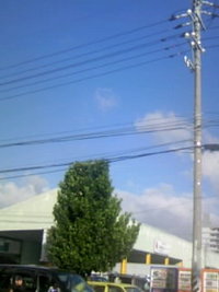 電線 2007/10/25 16:31:15