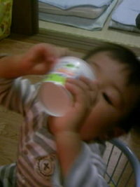 ヨーグルト 2007/11/01 20:13:16