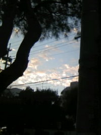 朝日 2007/11/10 06:52:22