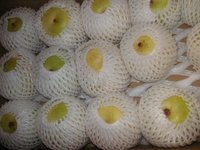 続・秋の幸 2007/10/19 22:51:57