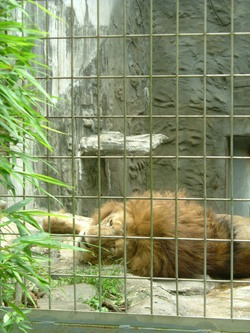 動物園♪