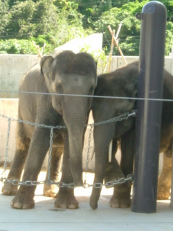 動物園♪