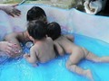 プール♪