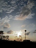 黄金森公園♪　　