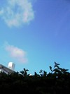 朝はお散歩その後も・・・