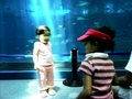 ちゅら海水族館へ♪