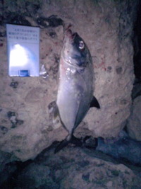 大潮に 2011/08/30 23:03:13