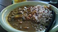 八重山でインド風カレー