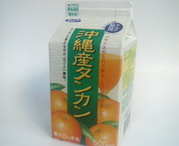 エルビー 沖縄産タンカン