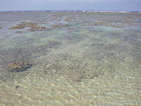 立原浜