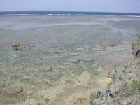 立原浜