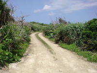 一周道路