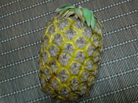 嬉しい戴きもの♪