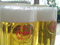飲むしかない
